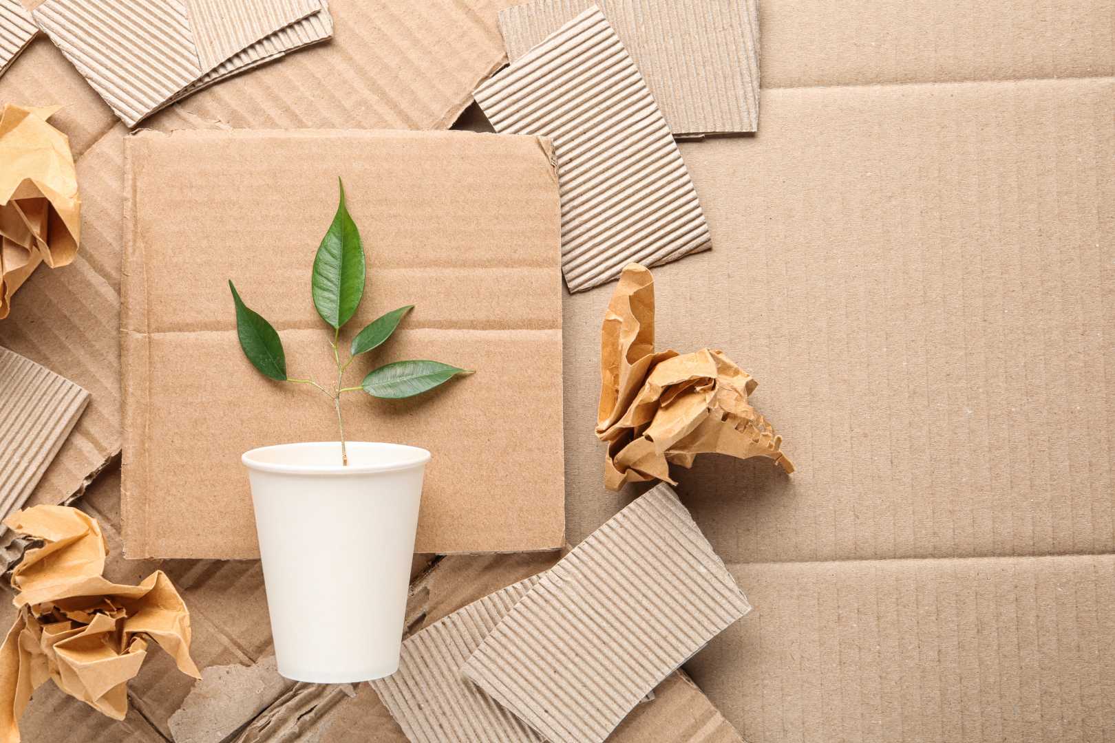 tái chế hộp giấy Tái chế hộp giấy bảo vệ môi trường